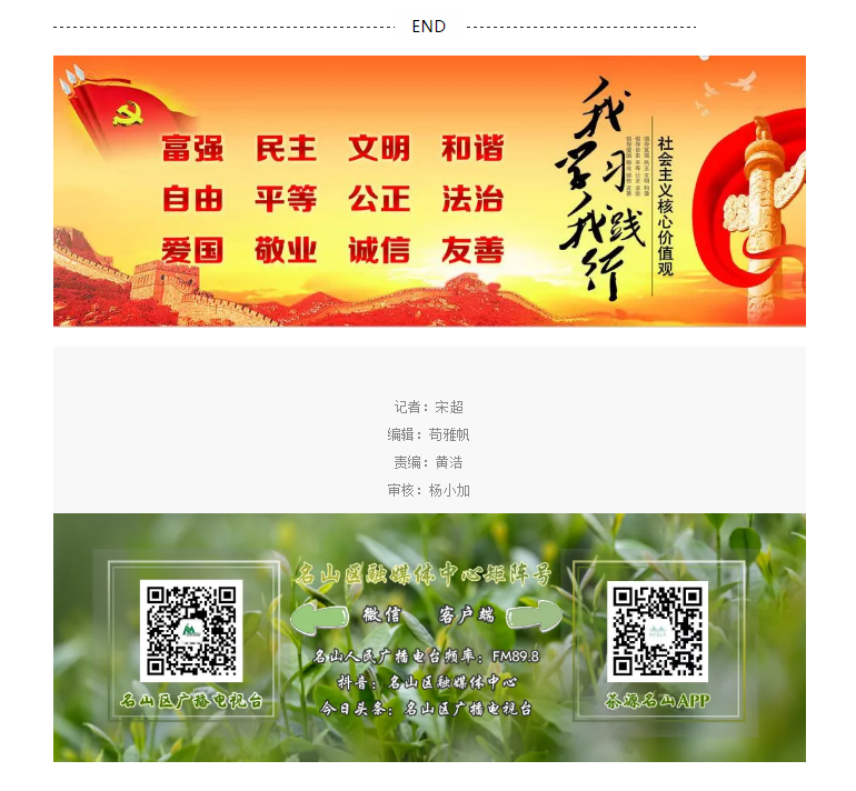 傾聽民企心聲 匯聚發(fā)展力量 名山區(qū)召開2020年民營企業(yè)與職能部門第四季度“面對(duì)面” 溝通交流座談會(huì)(圖6)